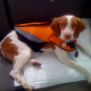 Sadie enjoying her first ride on C-Hawk