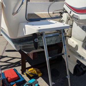 Swim Step and Handle Installed
