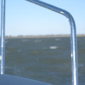 Media 'a bit breezy' in album 'Kerri On,  from Sea Spray'