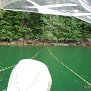 Media 'Long stern tie, Desolation Sound, B.C
July 2010' in album 'Toba Wildernest
July 2010'
