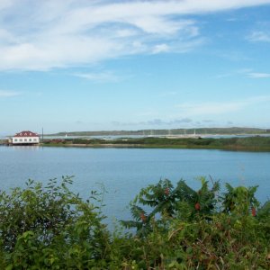 Cuttyhunk Island July 2010