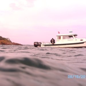Buddy about to back roll into the water off Nahant Mass.