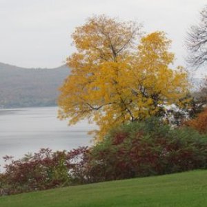 Still Chipman Point marina Orwell Vermont