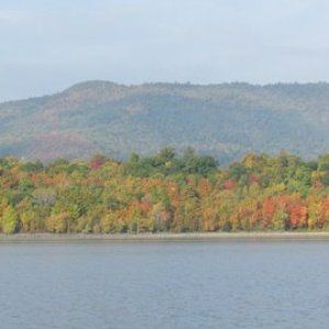 Fall  colors getting better