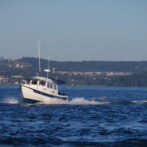 P5130003