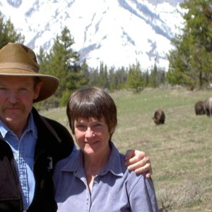 Jay Jo-Lee and the Bear Family