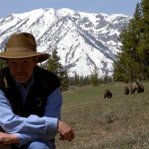 Jay and the Bear Family