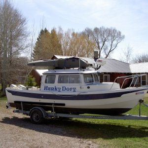 Mokai on Hunkydory in front of home
