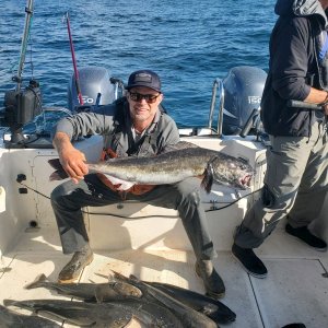 25 lb Sable