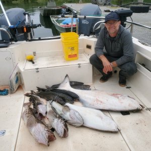 Media '48 lb halibut' in album 'Ling with headache'