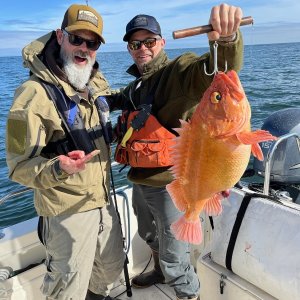 9.5 x .75 pipe jig catches all