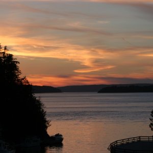 Our view of the Sunset from on shore in Telegraph Cove.  Last night of our cruise....
