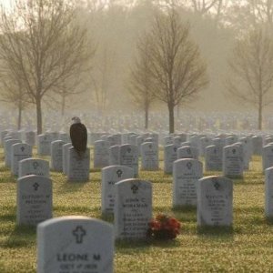 Media 'They paid the ultimate sacrafice. RIP' in album 'This one made it home safely'