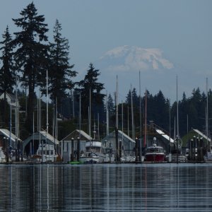 Looking close you can almost see Mount Rainier