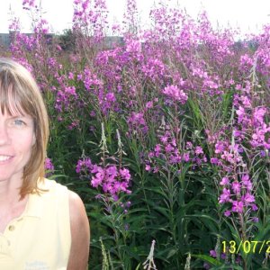Media '(C-Biscuit) Frauline and Fireweed' in album '(C-Biscuit) Mike and Alisha'