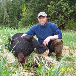 Media 'Scott and our bear taken in Cascade Falls bay, Prince William Sound AK' in album '(C-Biscuit) Mike and Alisha'