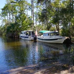 Apalachicola, River Crest 2015  22 and 25 in the canal