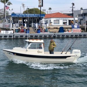 Harbor Cruising