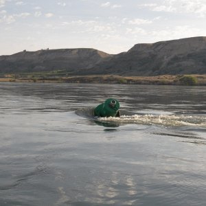 Then the river started to get lively.  This is not a green can buoy.  It is marking an underwater obstruction.