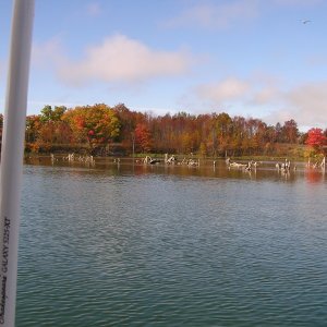 Inlsnd Waterway 2004 077