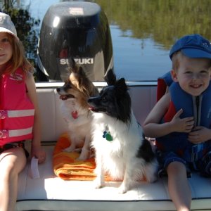 Media 'Emma, Daisy, Dabber Doo & Jack' in album 'This is what a C-Dory is all about. Nicholas caught his first "Big" fish and it was almost as big as his eyes.'
