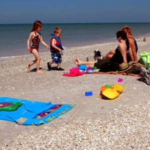Media 'Beach Time' in album 'This is what a C-Dory is all about. Nicholas caught his first "Big" fish and it was almost as big as his eyes.'