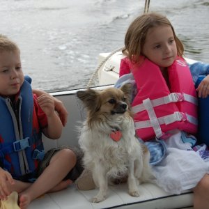 Media 'Jack , Daisy & Emma' in album 'This is what a C-Dory is all about. Nicholas caught his first "Big" fish and it was almost as big as his eyes.'