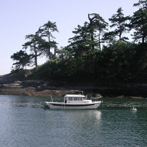Daydream on the Buoy, Patos Island, 6-7-03