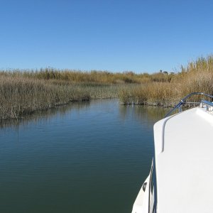 anchored for the night in 5 feet little stream off the bow