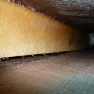 6. Looking forward along the side of the 1 1/2" x 1 1/2" cedar stiff arm or beam. Notice the white plastic pipe chase, which holds the water line and electrical lines crossing from starboard to port, to feed the galley area.