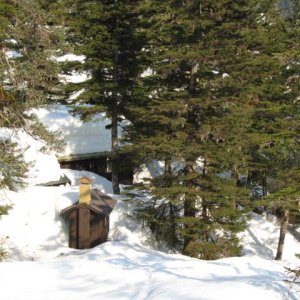 Back of the Outhouse