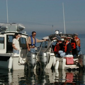 Media 'Betty Louise and Sea Shift rafted up' in album '(Moskwass)'