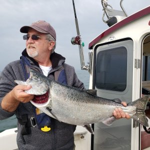 Media 'Chinook salmon' in album 'A happy wife with a nice 16lb coho'