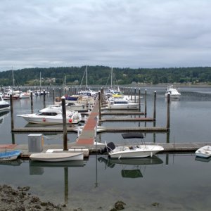 Ashore at Poulsbo.Marina only about 60% full on a Saturday afternoon after the 4th of July.