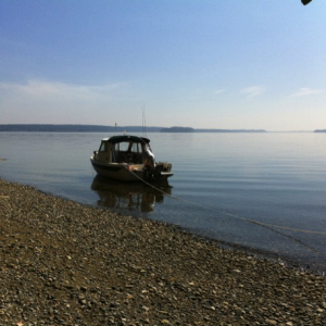 Summer on Fox Island