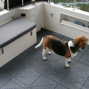 Gray Dri-Dek installed in cockpit.