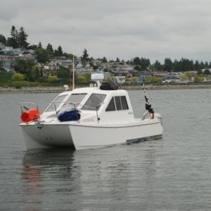 Cod Blue At White Rock