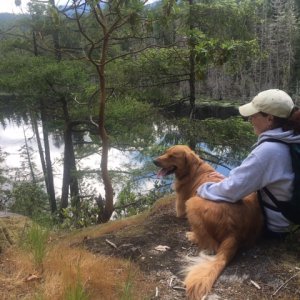Hike from Melanie Cove Prideaux Havean 2016