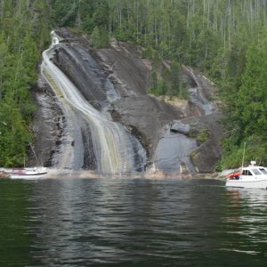Cod Blue and Lacey Falls