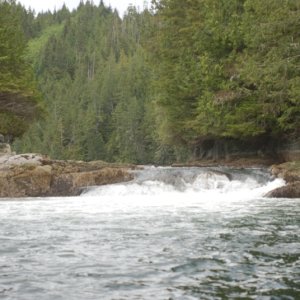 Halibut hunt near Sullivan Bay 5/26/2016