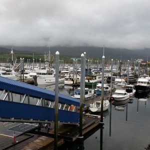 Bar Harbor Ketchikan 06/03/2016