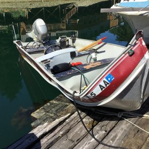 Tragic fatal accident Elfin Cove 6-16