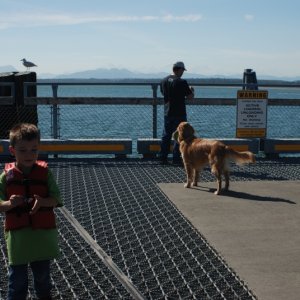 Gustavus Ferry Dock