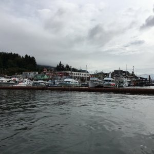 Media '8-15 Cow Bay, Prince Rupert, BC' in album 'Crew of Cod Blue i'