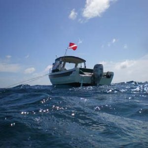 The C-Dory makes a great scuba dive boat at John Pennekamp State Park in Key Largo, Florida