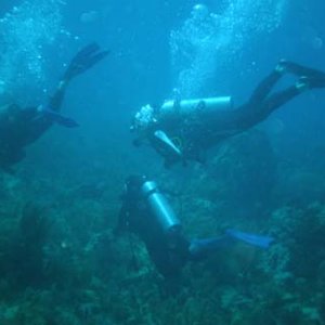 C-Dory diving companions in the Florida Keys
