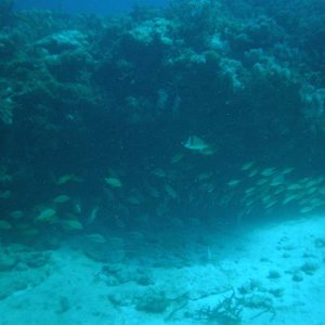 Another underwater ledge