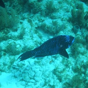 P1010084
