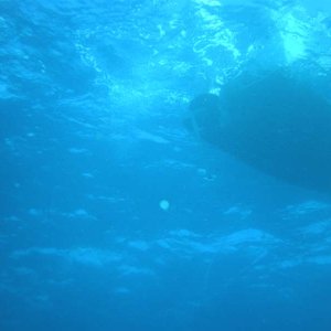 Media 'What the bottom of a C-Dory 16 looks like from a vantage of 20 feet underwater' in album 'The C-Dory makes a great scuba dive boat at John Pennekamp State Park in Key Largo, Florida'