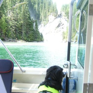 Media 'DSCF1056' in album 'East arm Quesnel Lake'